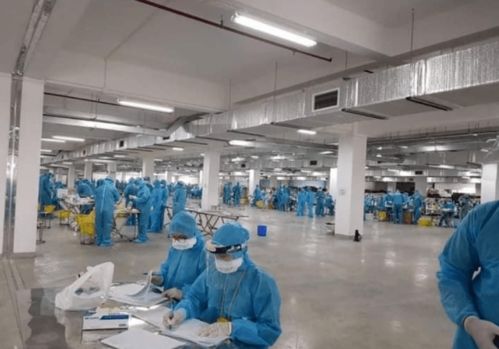 越南疫情警示 工廠聚集感染、瞞報與關(guān)聯(lián)行業(yè)的風(fēng)險連鎖反應(yīng)